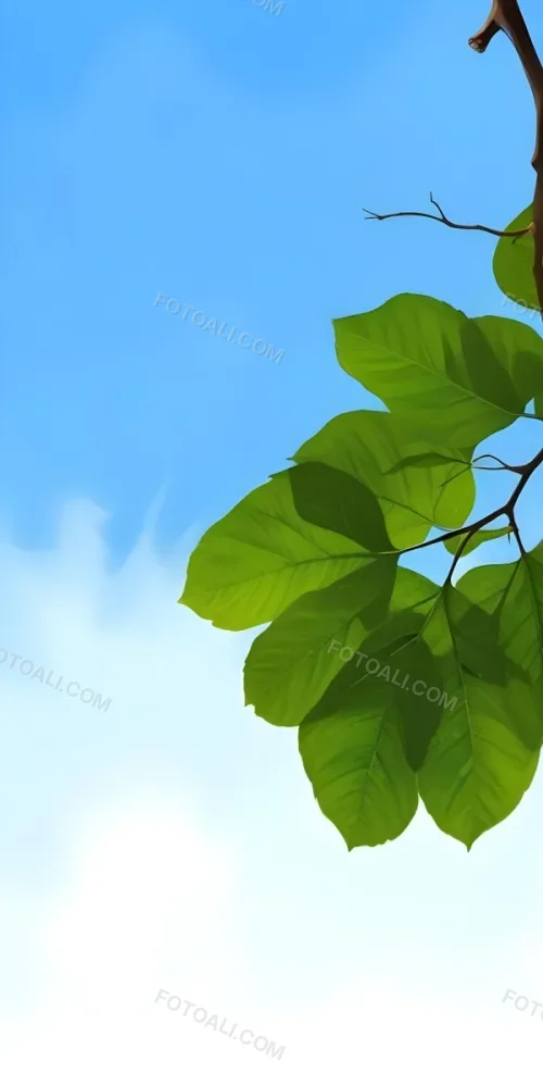 Minimal Soft Studio Light Photography Green Leaves With Thin Veins Against A Blue Sky Background High Detail Solid Bold Color Background 42 F741