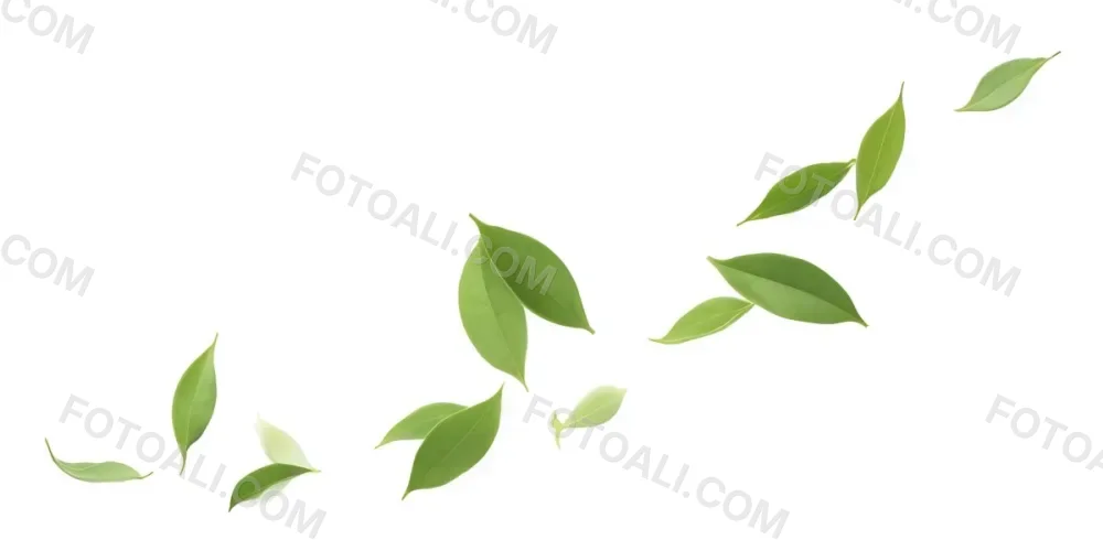 Minimal Soft Studio Light Photography Green Tea Leaves Floating Against A White Background High Detail Solid Bold Color Background 12 6ca7