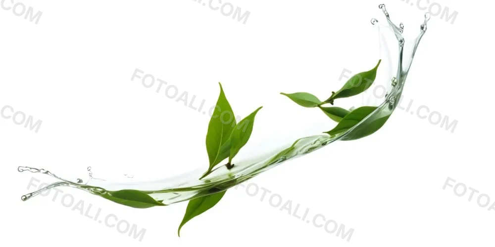 Minimal Soft Studio Light Photography Green Tea Leaves Floating Against A White Background High Detail Solid Bold Color Background 34 4b10