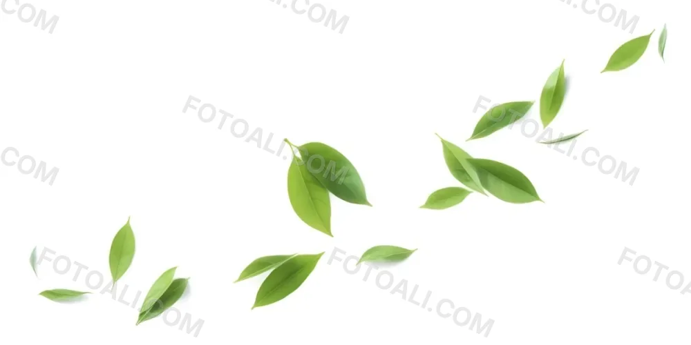 Minimal Soft Studio Light Photography Green Tea Leaves Floating Against A White Background High Detail Solid Bold Color Background 9 513c