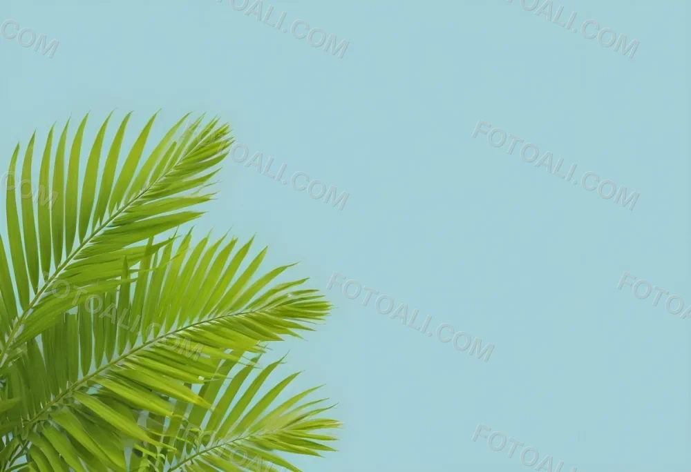 Palm Leaves In The Left Corner Vibrant Green Fronds With Intricate Details Against A Light Blue Background Tropical Vibe Minimalist Composition Bright And Airy 15 3425