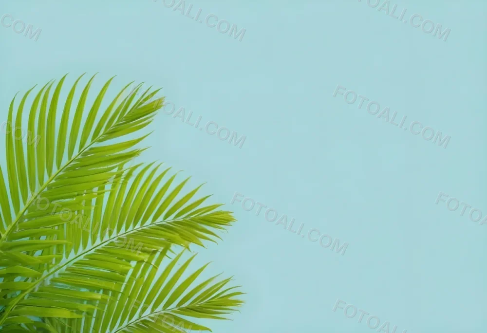 Palm Leaves In The Left Corner Vibrant Green Fronds With Intricate Details Against A Light Blue Background Tropical Vibe Minimalist Composition Bright And Airy 25 68c3