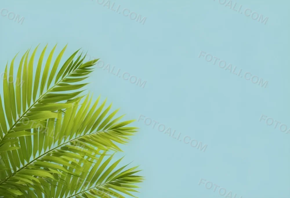 Palm Leaves In The Left Corner Vibrant Green Fronds With Intricate Details Against A Light Blue Background Tropical Vibe Minimalist Composition Bright And Airy 31 6123