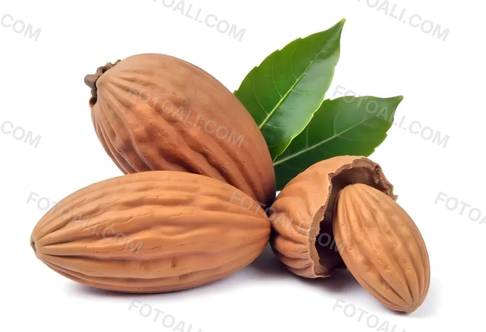Pile Of Almonds With Green Leaves Close Up 18 542d