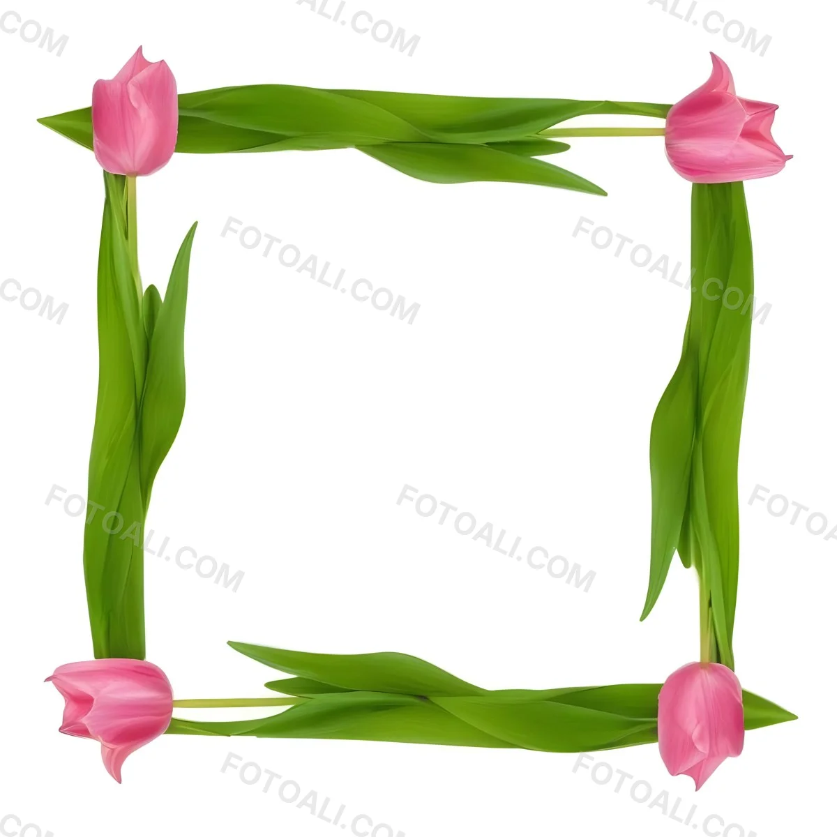 Pink Tulips Arranged In A Circular Frame On A Gray Background 10 Ba5f