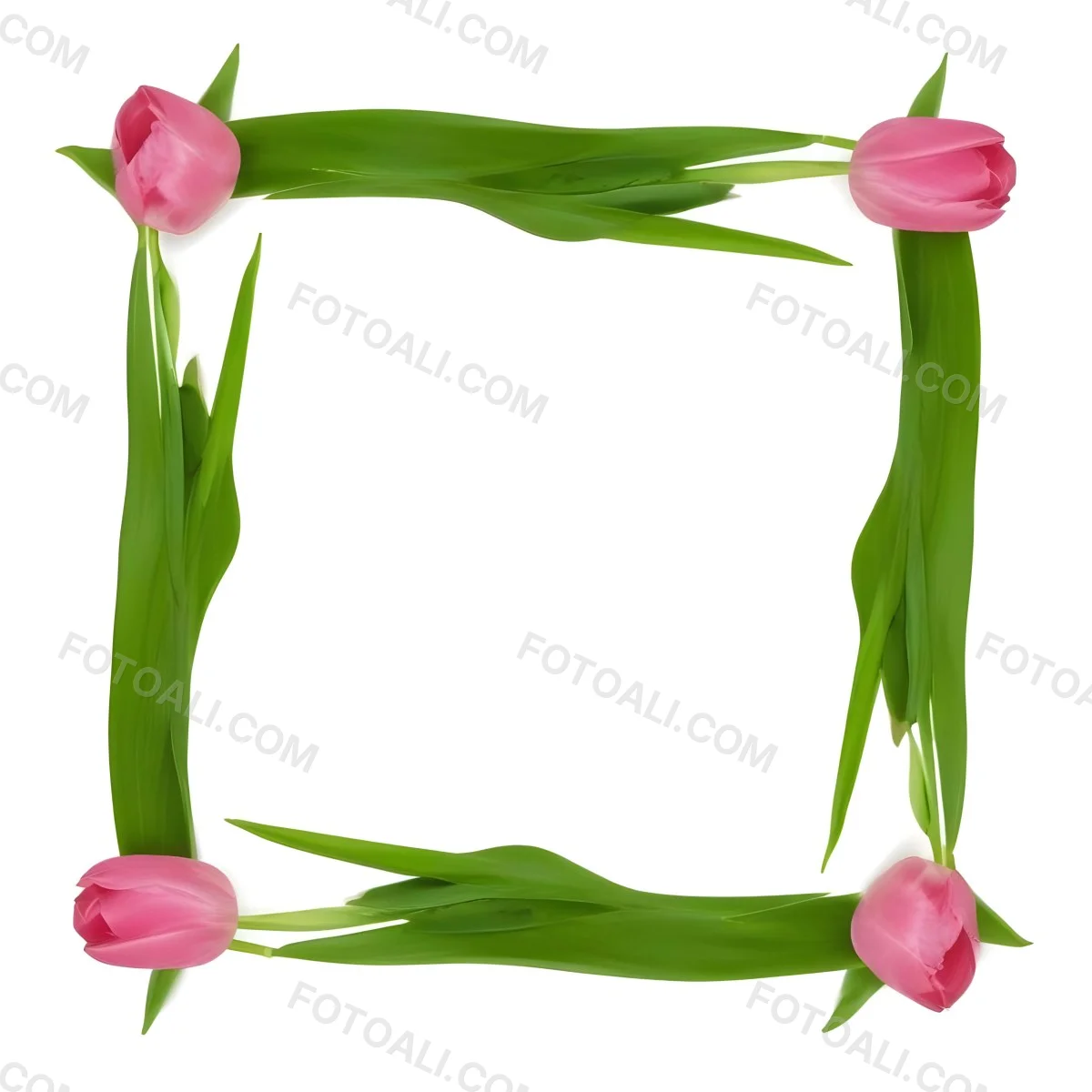 Pink Tulips Arranged In A Circular Frame On A Gray Background 11 Cba6