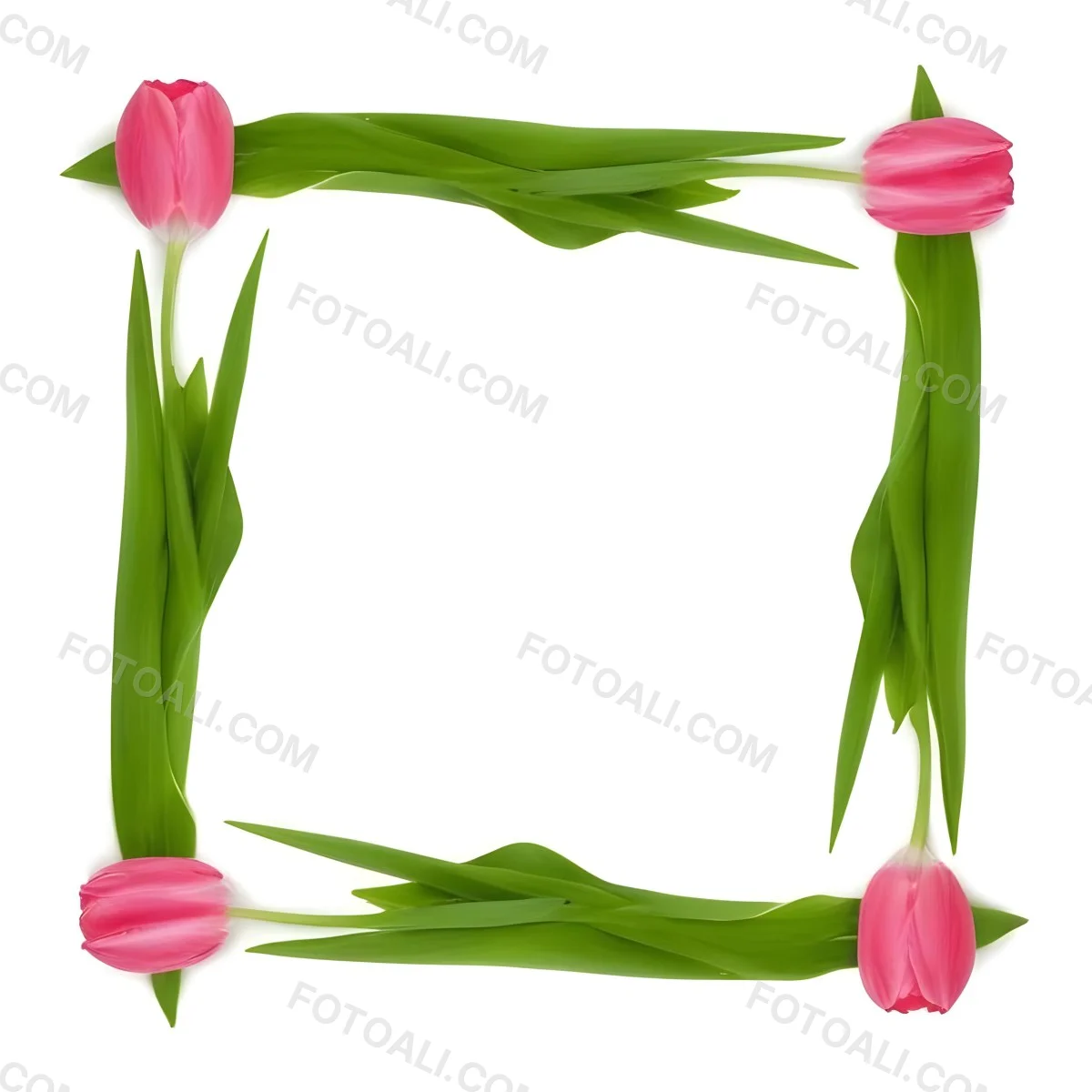 Pink Tulips Arranged In A Circular Frame On A Gray Background 12 0137
