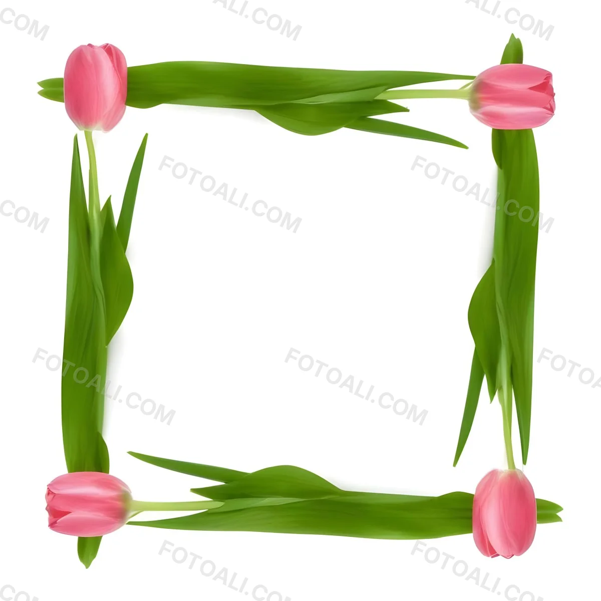 Pink Tulips Arranged In A Circular Frame On A Gray Background 13 De5d
