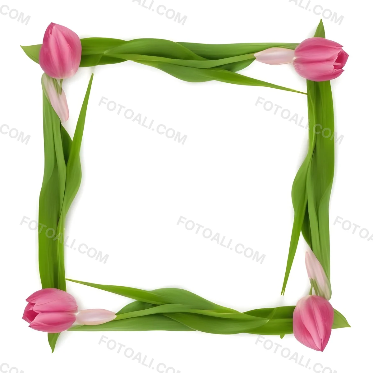 Pink Tulips Arranged In A Circular Frame On A Gray Background 14 Dbde