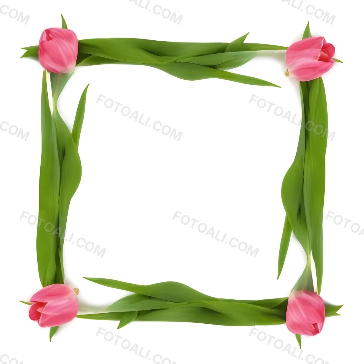 Pink Tulips Arranged In A Circular Frame On A Gray Background 15 E012