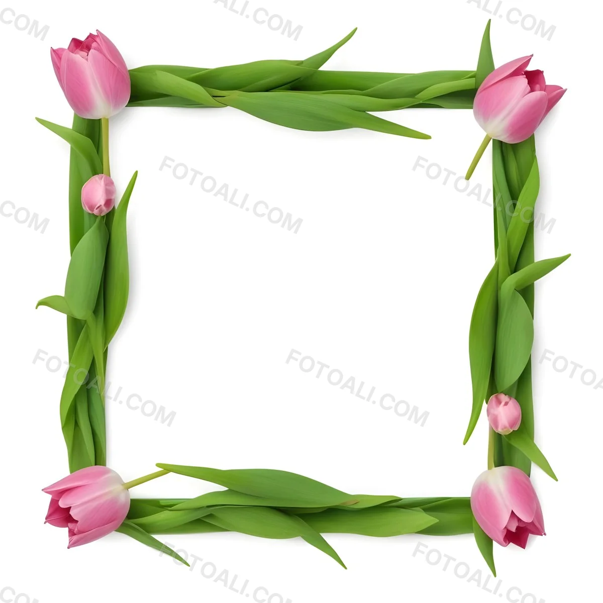 Pink Tulips Arranged In A Circular Frame On A Gray Background 2 2e0b
