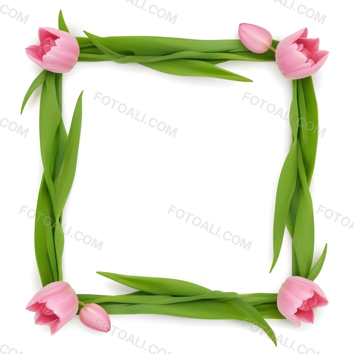 Pink Tulips Arranged In A Circular Frame On A Gray Background 3 Badf