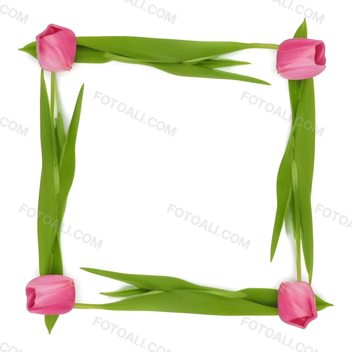 Pink Tulips Arranged In A Circular Frame On A Gray Background 4 31e5