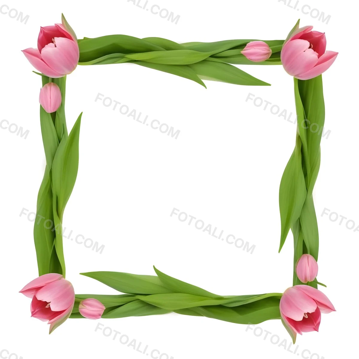 Pink Tulips Arranged In A Circular Frame On A Gray Background 6 34a4