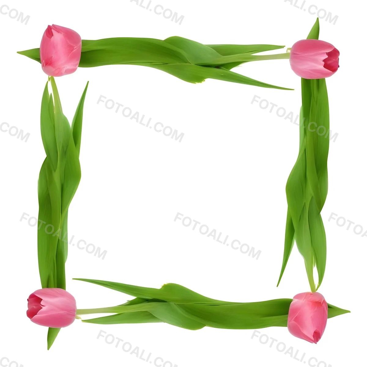 Pink Tulips Arranged In A Circular Frame On A Gray Background 7 F9c9