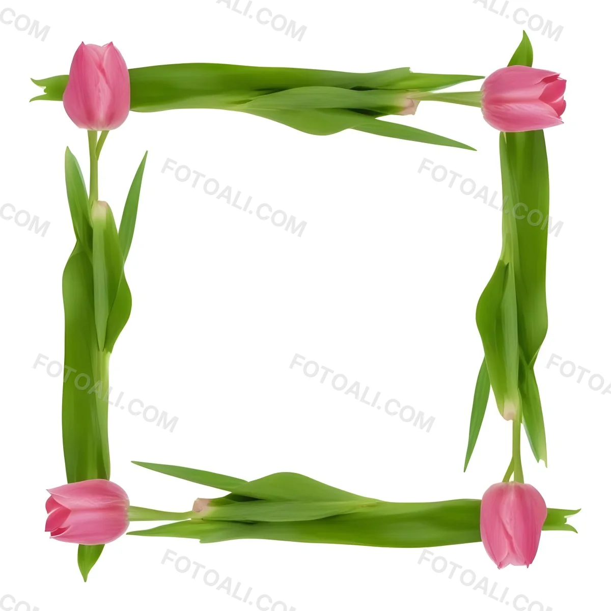Pink Tulips Arranged In A Circular Frame On A Gray Background 8 62aa
