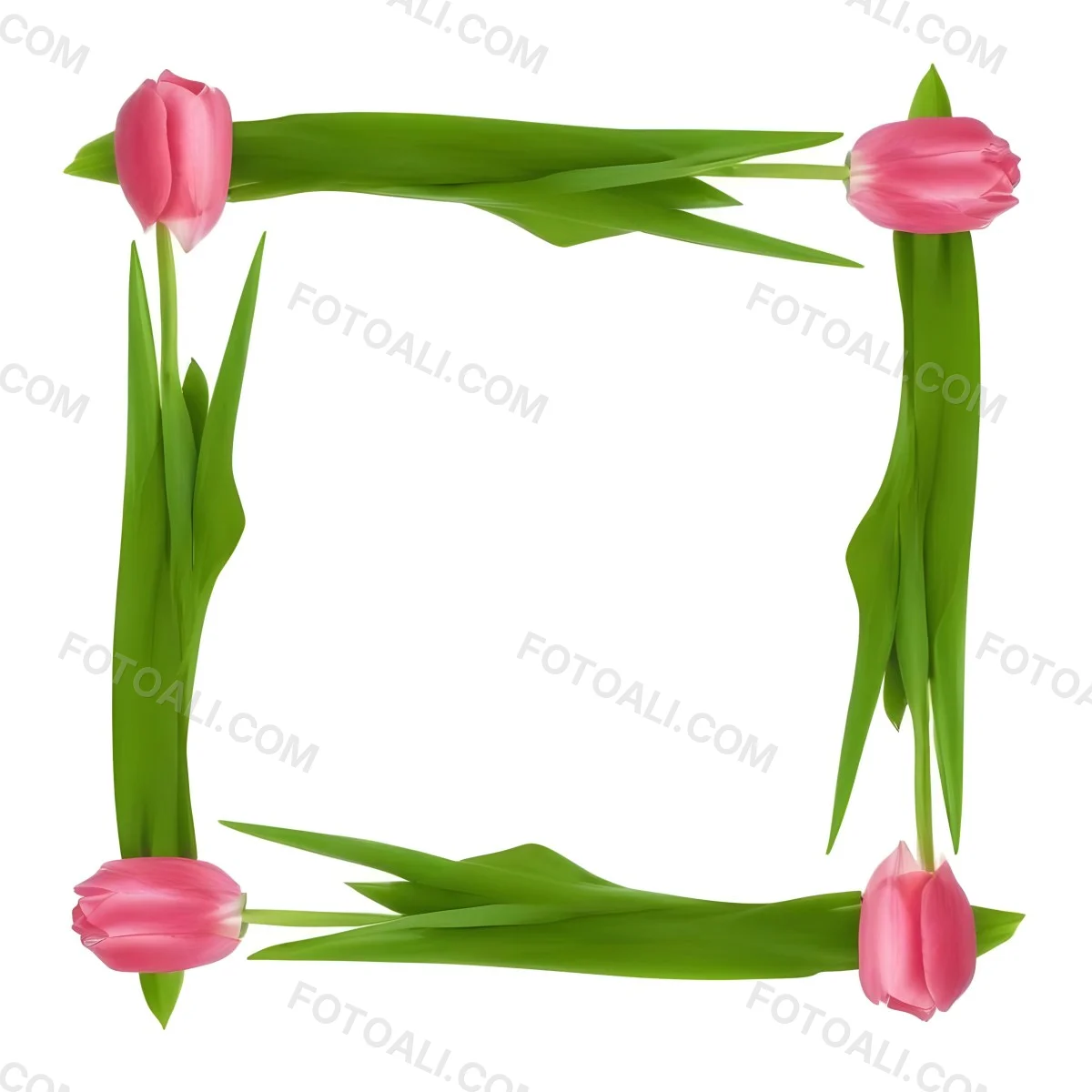Pink Tulips Arranged In A Circular Frame On A Gray Background 9 A537