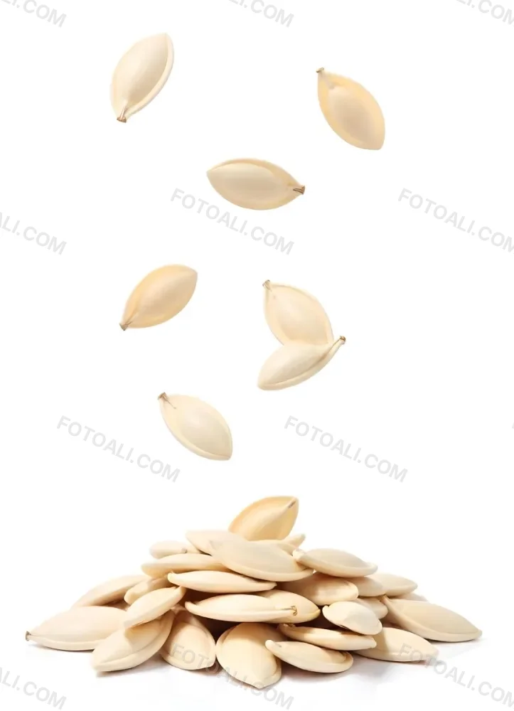 Pumpkin Seeds Falling Into A Pile Of Pumpkin Seeds Isolated On A White Background 30 0538