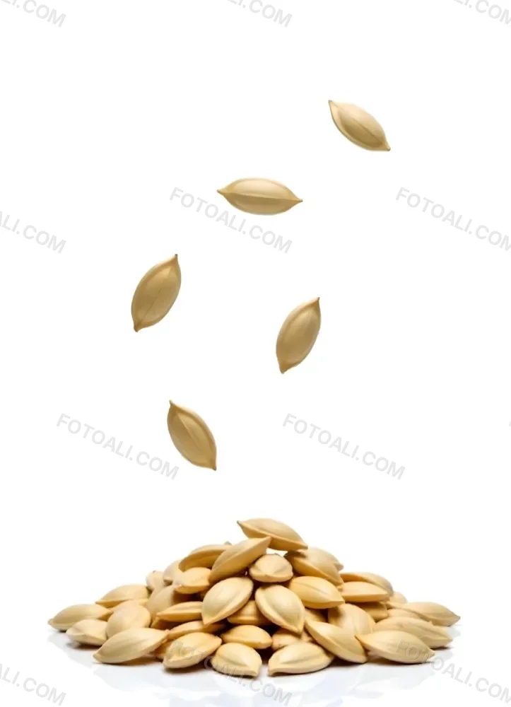 Pumpkin Seeds Falling Into A Pile Of Pumpkin Seeds Isolated On A White Background 37 D405