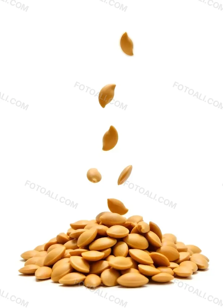 Pumpkin Seeds Falling Into A Pile Of Pumpkin Seeds Isolated On A White Background 6 9651