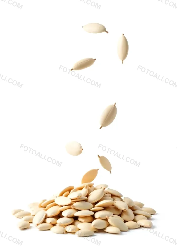 Pumpkin Seeds Falling Into A Pile Of Pumpkin Seeds Isolated On A White Background 9 Addc