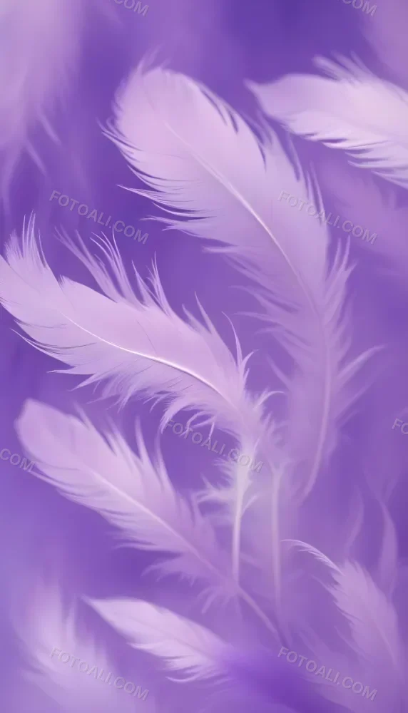 Soft Wispy Purple Feathers With A Blurred Ethereal Background6 10 7e9d