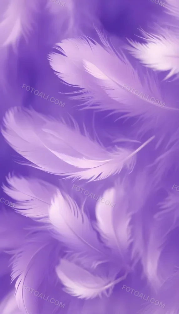 Soft Wispy Purple Feathers With A Blurred Ethereal Background6 11 Cbf8