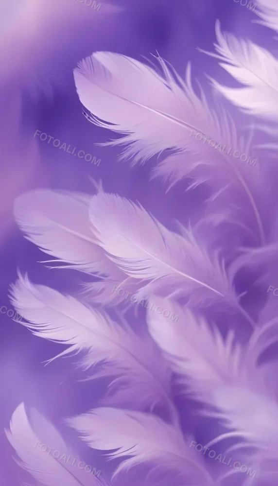 Soft Wispy Purple Feathers With A Blurred Ethereal Background6 14 C148