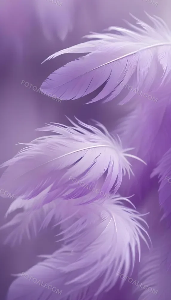Soft Wispy Purple Feathers With A Blurred Ethereal Background6 15 7321