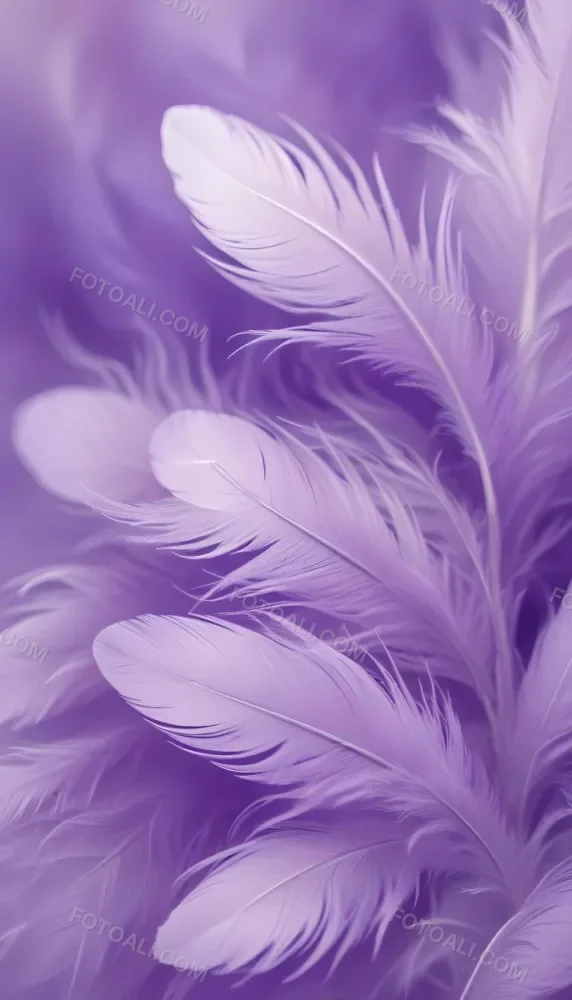 Soft Wispy Purple Feathers With A Blurred Ethereal Background6 4 091a