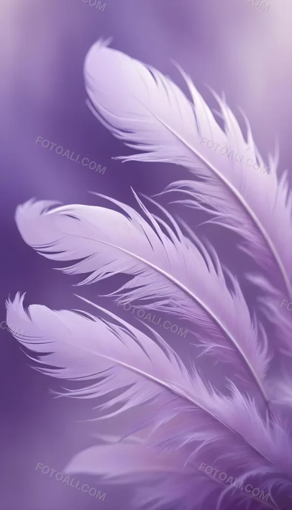 Soft Wispy Purple Feathers With A Blurred Ethereal Background6 6 4209