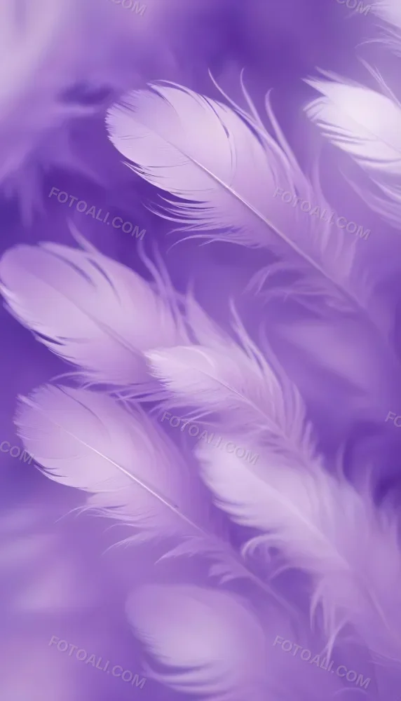 Soft Wispy Purple Feathers With A Blurred Ethereal Background6 8 Dbb4