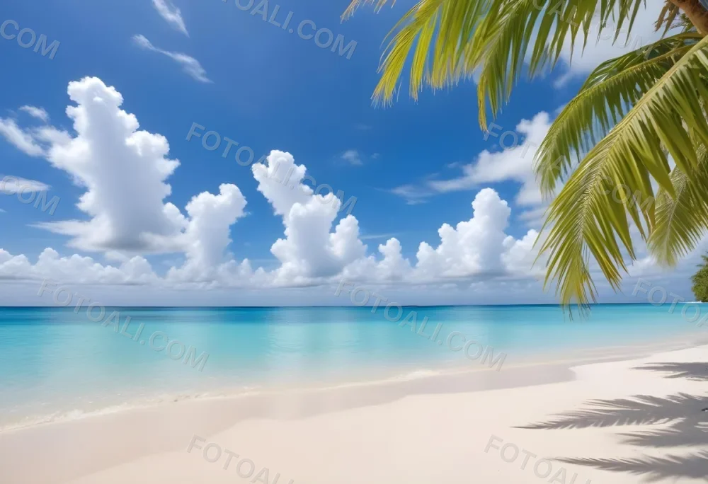 Tropical Beach With White Sand Clear Water And A Clear Blue Sky With Fluffy White Clouds Palm Tree Leaves In The Upper Right Corner 15 3dd5