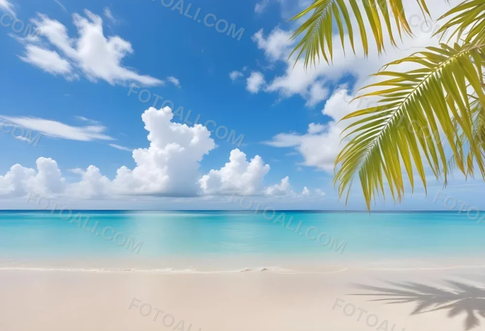 Tropical Beach With White Sand Clear Water And A Clear Blue Sky With Fluffy White Clouds Palm Tree Leaves In The Upper Right Corner 5 Cb7a