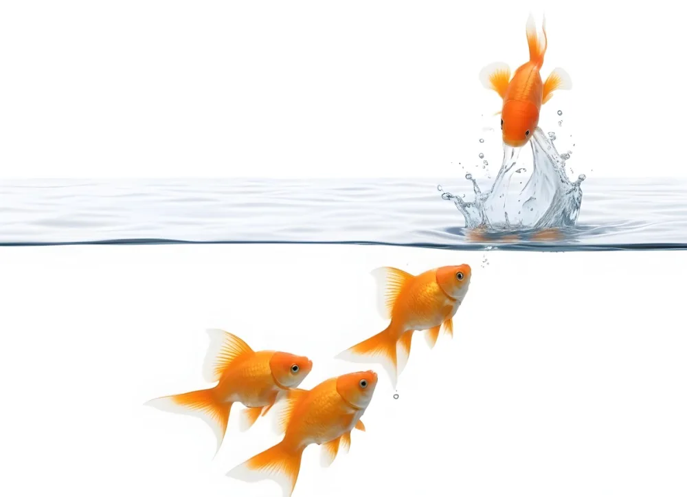 3d Model Three White Goldfish Swimming In Water With One Goldfish Jumping Out Of The Water White Background Figure Octane Render Volumetric Highly Detailed Videogame Aesthetic 11 0be2