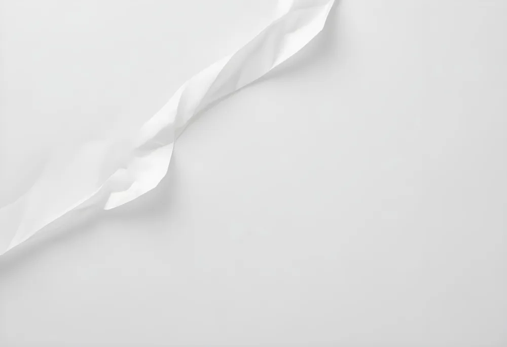 A Blank White Wrinkled Paper Full Frame 33 B248