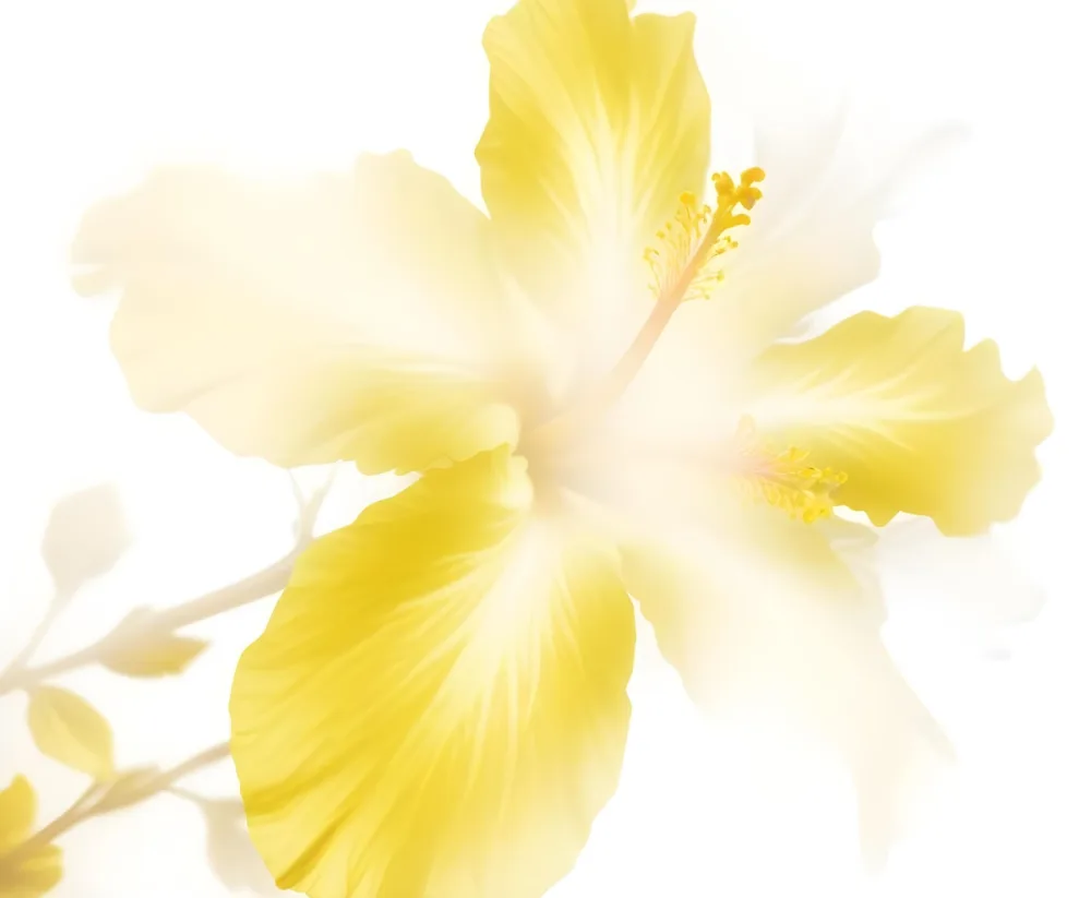 A Close Up View Of A Yellow Hibiscus Flower With Soft Blurred Edges And A Bright Glowing Center 12 E483