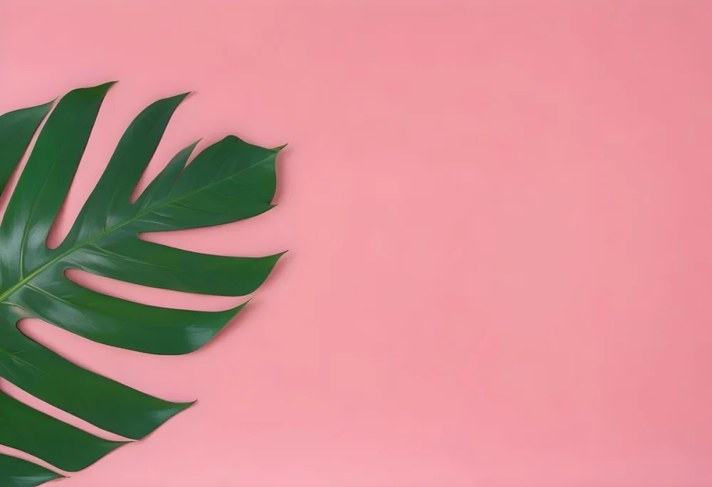 A Green Monstera Leaf On A Green Background The Leaf Is On The Left Side Of The Image The Background Is Plain 18 3952