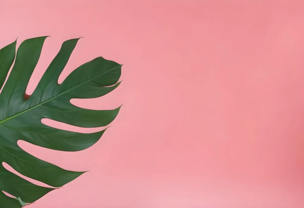 A Green Monstera Leaf On A Green Background The Leaf Is On The Left Side Of The Image The Background Is Plain 8 835a