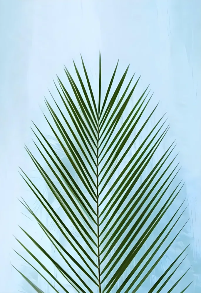 A Green Palm Leaf With A Symmetrical Pattern Showcasing Its Intricate Structure And Vibrant Color On A Light Blue Background 14 B452