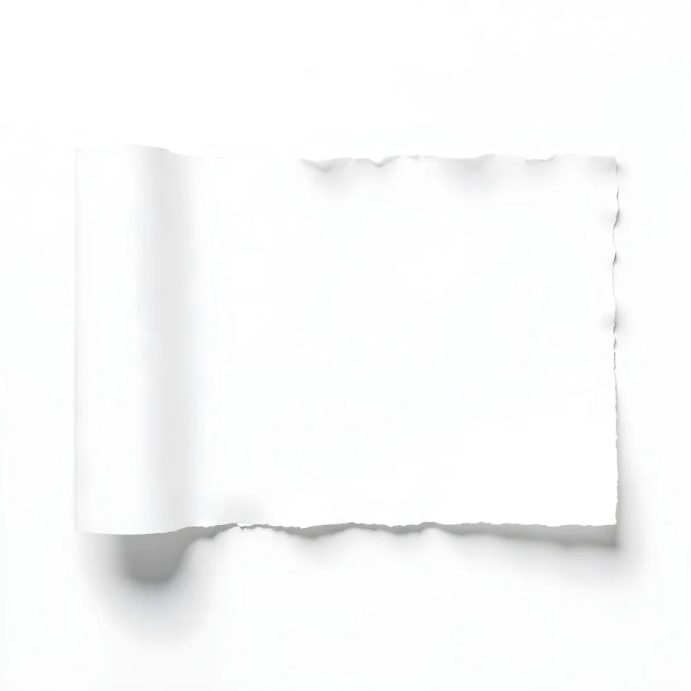 A Torn Piece Of White Paper With A Rough Edge Against A White Background The Paper Has A Rough Texture 13 Aa37
