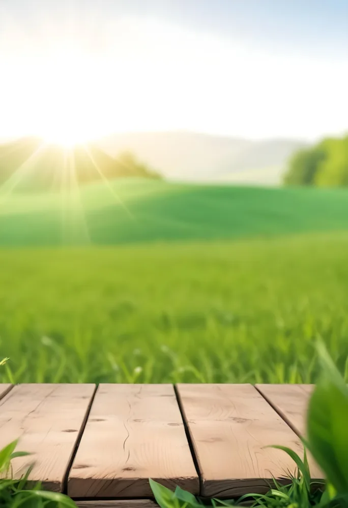 A Wooden Table With A Green Field In The Background The Sun Is Shining And The Sky Is Clear The Grass Is Green And Lush 6 F806