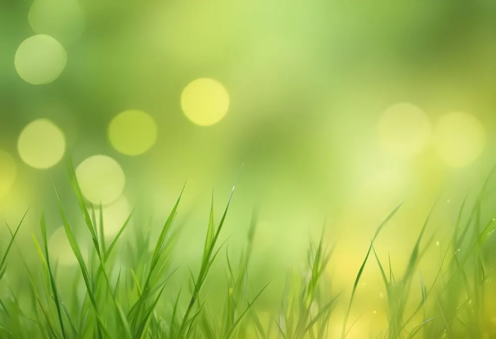 Abstract Background With Green And Yellow Tones Bokeh Effect Creating A Soft And Dreamy Atmosphere Suggestive Of A Natural Possibly Grassy Environment 32 3260