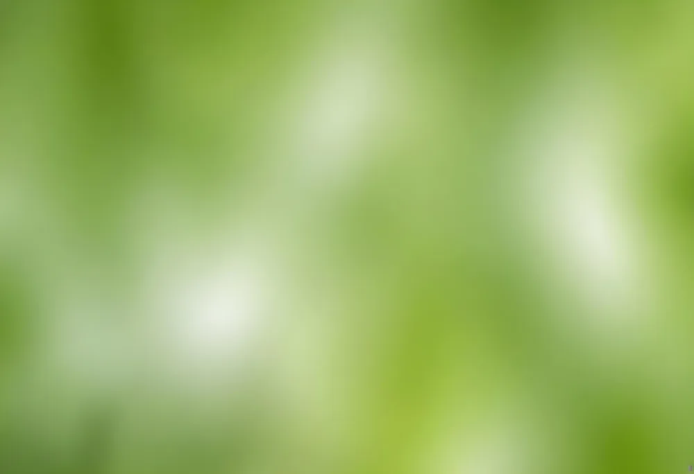 Abstract Background With Shades Of Green And White Creating A Soft Blurred Effect Reminiscent Of Foliage Or Natural Textures With A Focus On Light And Color Gradients 1 C6c1
