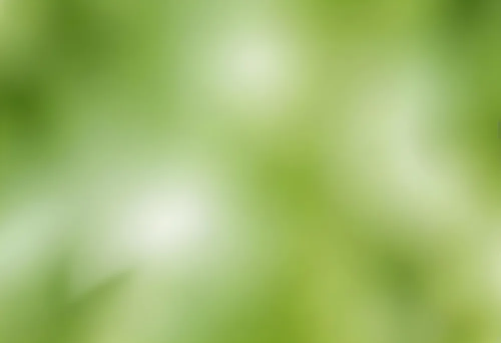 Abstract Background With Shades Of Green And White Creating A Soft Blurred Effect Reminiscent Of Foliage Or Natural Textures With A Focus On Light And Color Gradients 12 7ef0