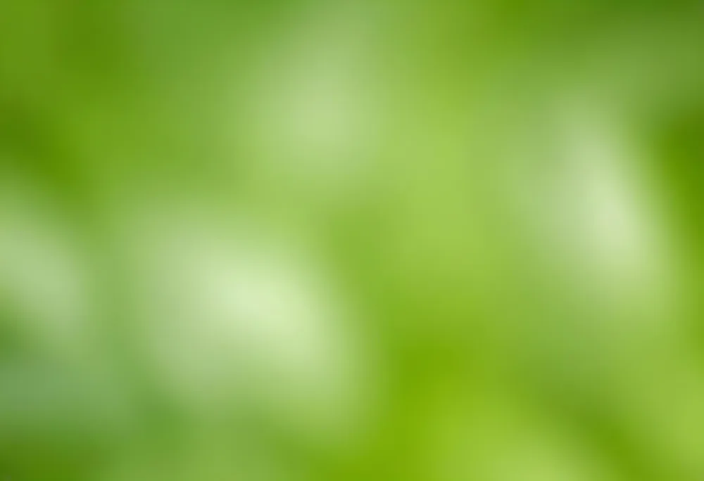 Abstract Background With Shades Of Green And White Creating A Soft Blurred Effect Reminiscent Of Foliage Or Natural Textures With A Focus On Light And Color Gradients 13 899e