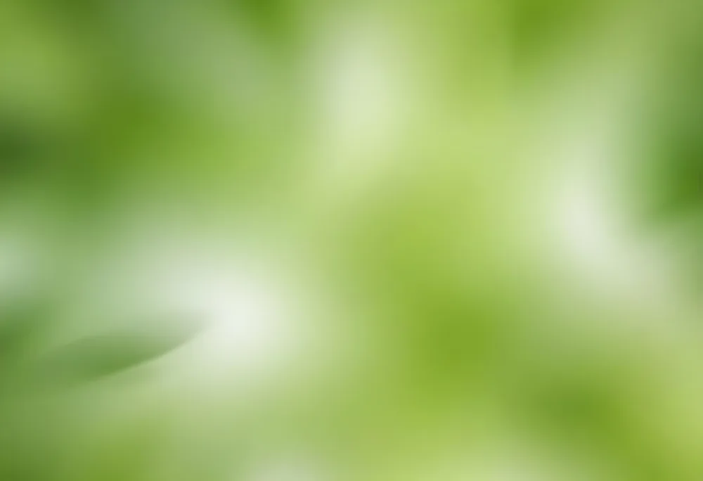 Abstract Background With Shades Of Green And White Creating A Soft Blurred Effect Reminiscent Of Foliage Or Natural Textures With A Focus On Light And Color Gradients 16 F2db