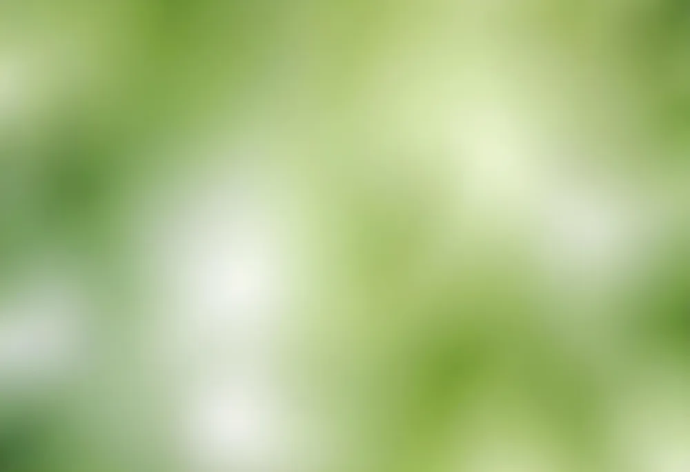 Abstract Background With Shades Of Green And White Creating A Soft Blurred Effect Reminiscent Of Foliage Or Natural Textures With A Focus On Light And Color Gradients 17 4ff2