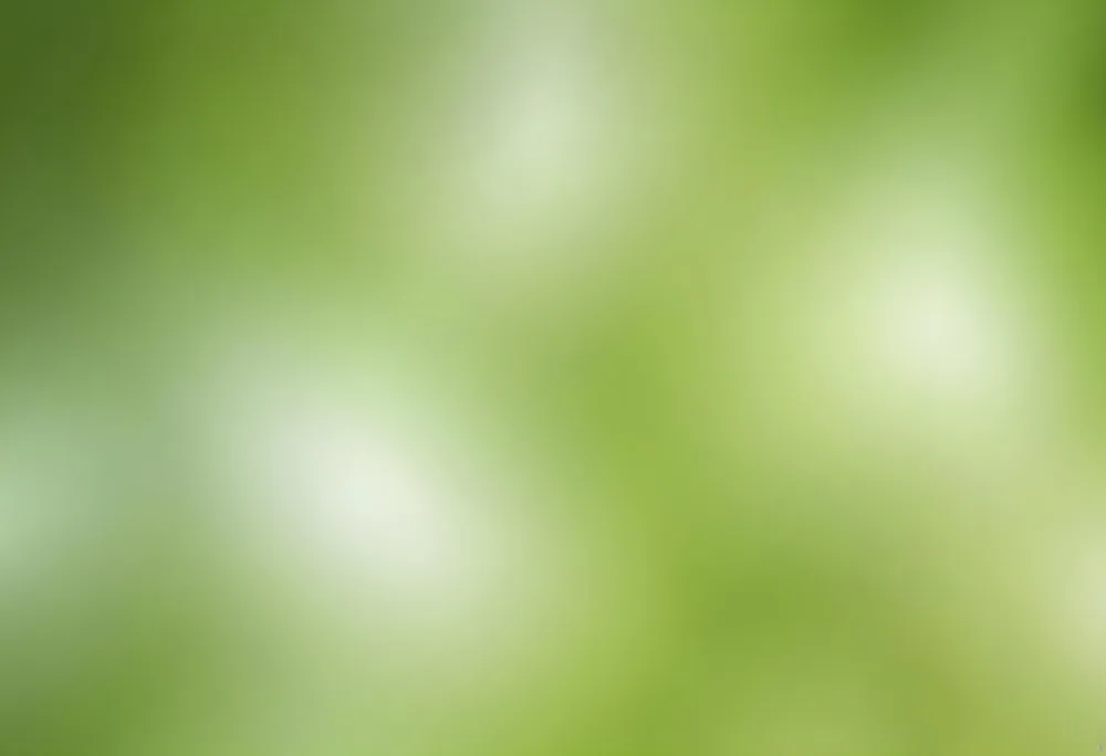 Abstract Background With Shades Of Green And White Creating A Soft Blurred Effect Reminiscent Of Foliage Or Natural Textures With A Focus On Light And Color Gradients 20 6e83