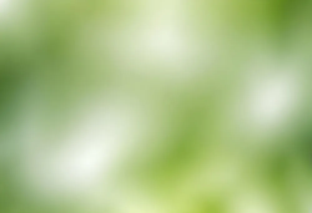 Abstract Background With Shades Of Green And White Creating A Soft Blurred Effect Reminiscent Of Foliage Or Natural Textures With A Focus On Light And Color Gradients 22 B832